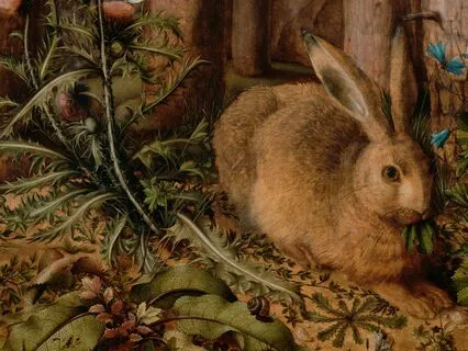 Bloom In Silver - Binaural Journey In An Enchanted Forest