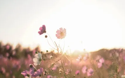 Blooming Flower Meditation For Women