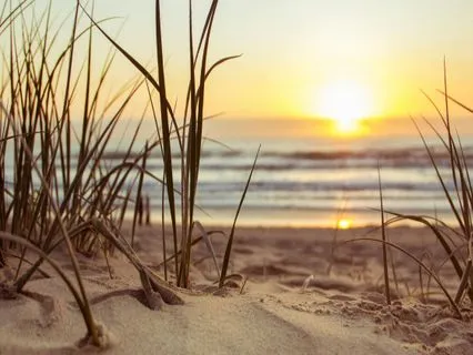 Blooming From Within - 30 Minute Yoga Nidra For Self Worth