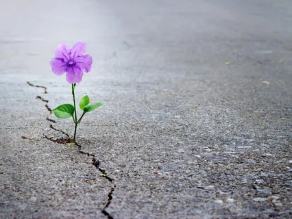 Blooming Heart Meditation