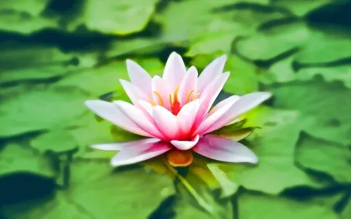 Blooming Time (Ambient Music For Relaxation And Sleep)