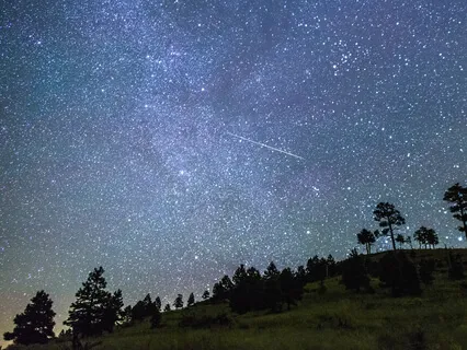 Blossom: Count The Breath Count Down To Sleep