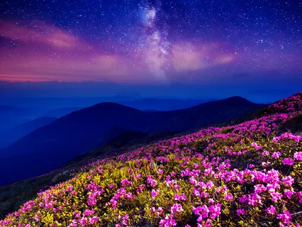 Blossom: Deep Rest With Yoga Nidra