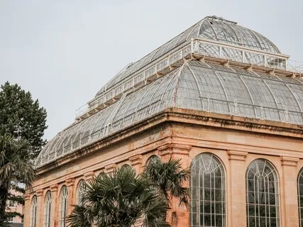 Blossom - Nature Walk While Staying Home