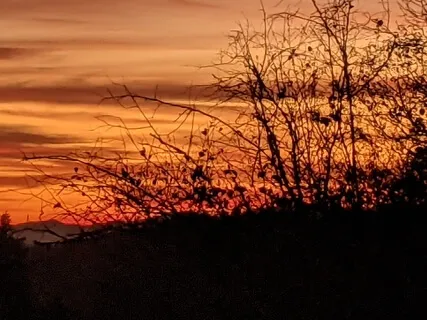 Blossom: Relax With Rama Nama Sudha