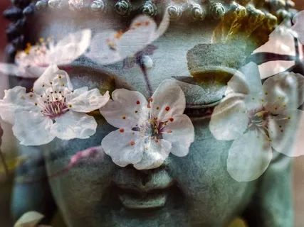 Blossom Zen Breath Counting