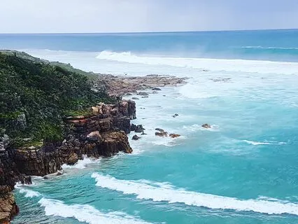 Blossoming Of The Throat