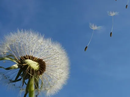 Blowing Away Your Worries