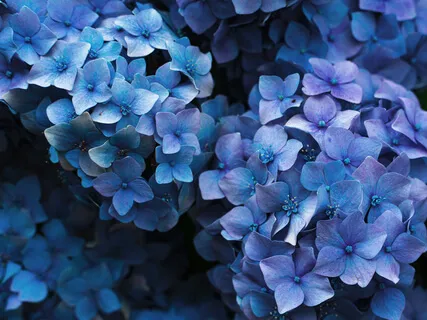 Blue Session For Anxiety And Stress Relief