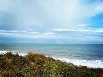 Blue Mist Meditation (Clearing The Emotional Body)