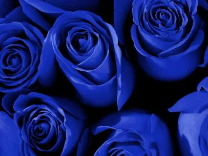 Blue Monday Meditation