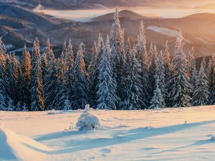 Blue Moon Zaphir Chime (20 Minute Version)