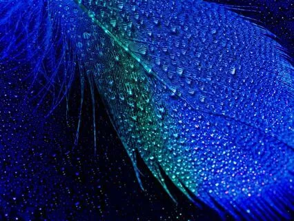 Blue Noise Relax Your Restless Mind