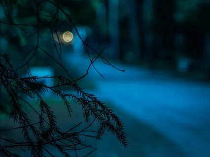 Blue Path Discussion