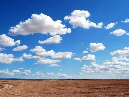 5-Minute Pause: Clarity & Calm In A Noisy World