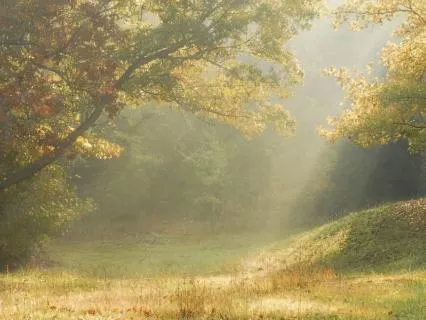 Blue Sky In My Heart - String Orchestra & Nature Sounds