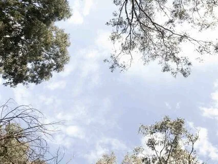 Blue Sky Mind Guided Meditation