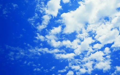 Bluey's New Friend - Bedtime Story