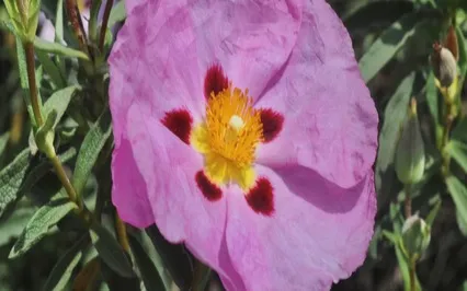  Body Acceptance And Self Love Meditation