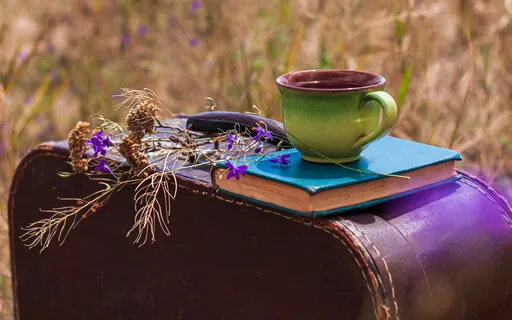 Body Acceptance Guided Meditation 