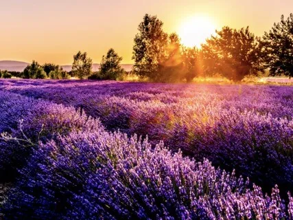 Accepting And Loving Your Body