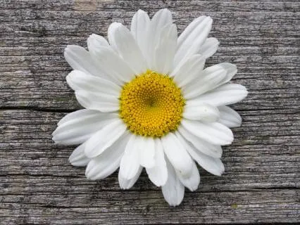 Body And Breath Awareness