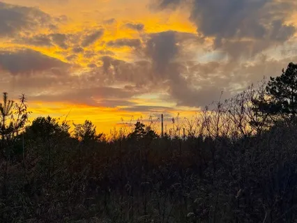 Body And Mind - Health And Healing Music Meditation