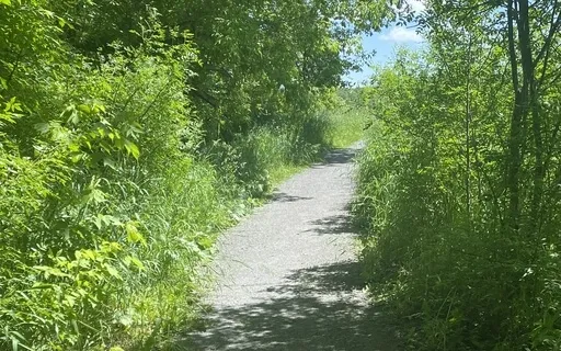 Body Appreciation Scan