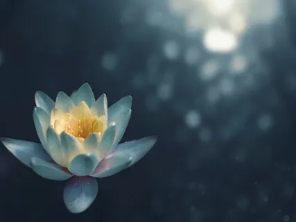 Body As A Foundation Of Mindfulness: Realizing No Self