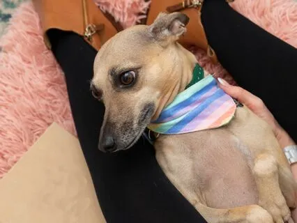 Body Awareness & Relaxation Practice