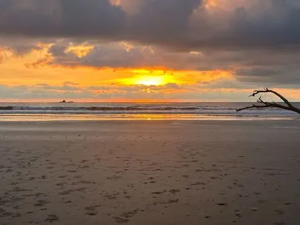 Body Awareness And Self Regulation: A Mindfulness Practice