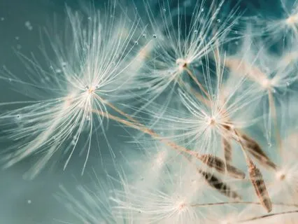 Body Awareness Meditation for Stress Relief and Balance