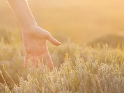 Body Awareness Meditation