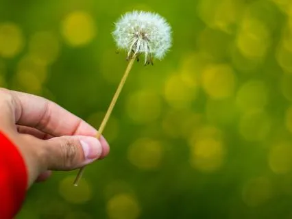 Body, Breath And Spirit Meditation