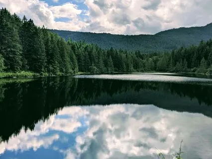Body Check-In For Better Sleep And Presence