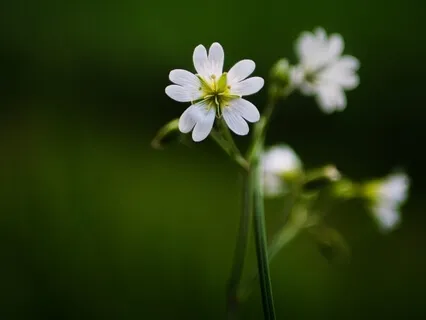 Checking In With Your Body