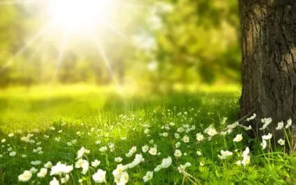 Body Compassion - Loving Body Scan