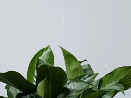 Body Confidence Meditation