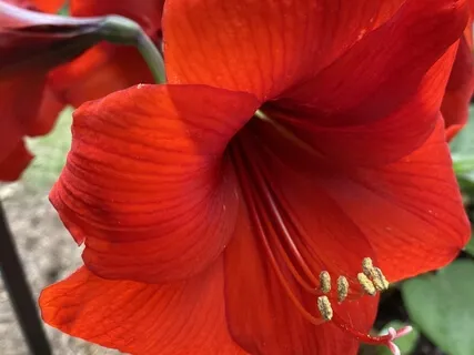 Body Discomfort Titration Practice