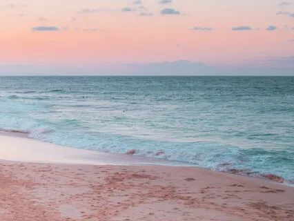 Body Gratitude, Befriending the Body, Self-Appreciation