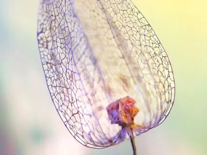 Body Healing Affirmations