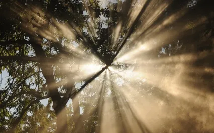 Body Healing Meditation