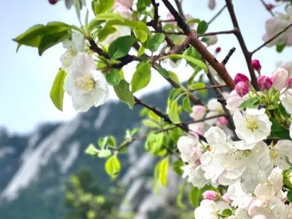 Body Heart Acceptance