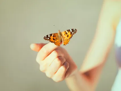 Body-Heart-Mind Inquiry In Butterfly Pose