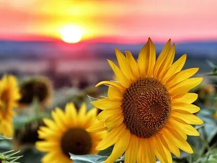 Body Image Booster Meditation