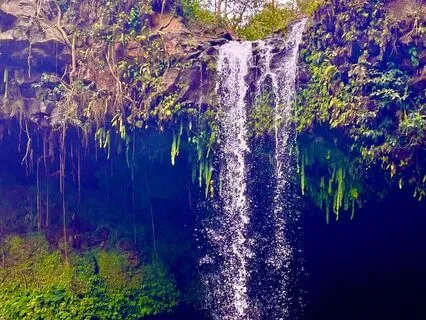 Body Leads And Mind Follows