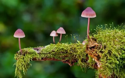 Body Love: A Conversation