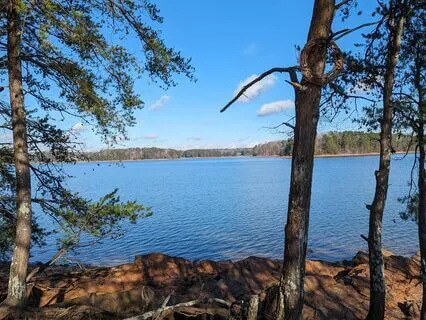 Body-Mind Connection: 10-Minute Mindful Self-Discovery