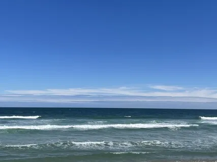 Body Mind Connection