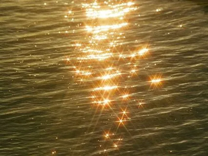 Body, Mind, Heart Refresh Meditation